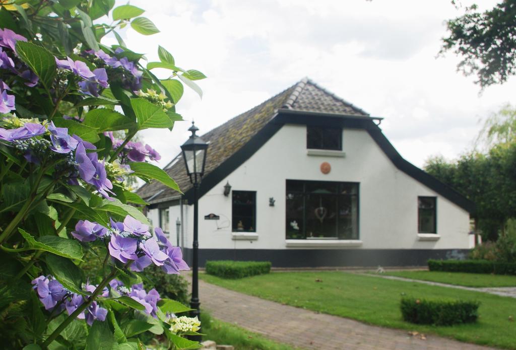 Bed&Breakfast 'T Eikeltje Hollandscheveld Екстериор снимка